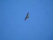 DSC06411 (1).jpg
